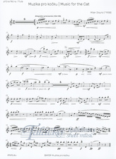Muzika pro kočku